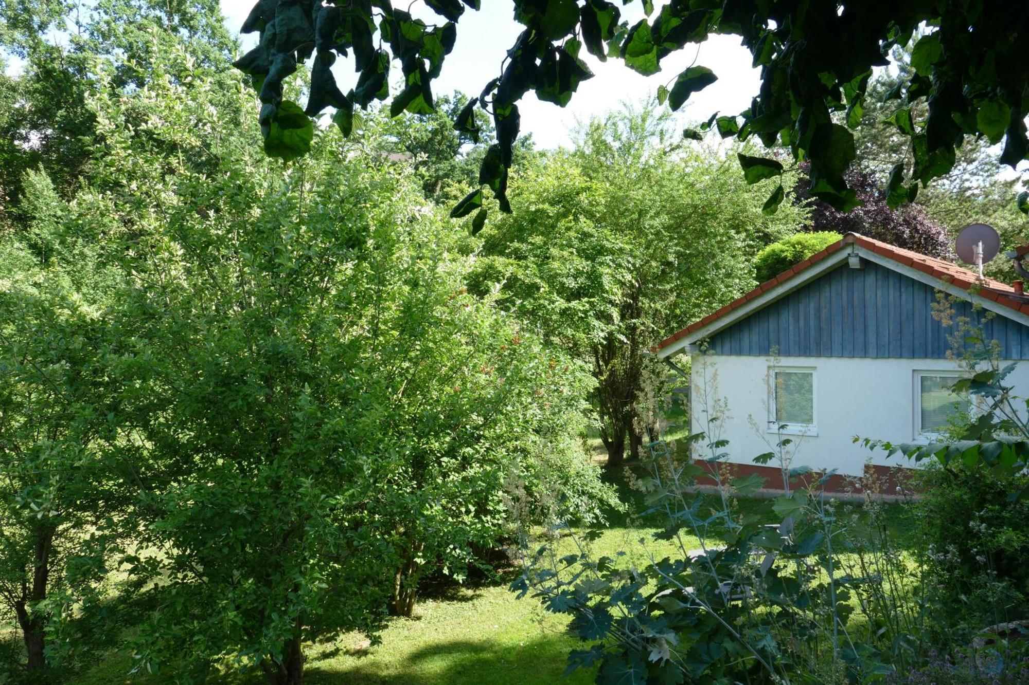 Landleben - Ferienhaus 2 Fritzlar Exterior foto